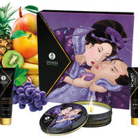 Shunga Erotic Art - Geisha
