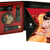 Shunga Erotic Art - Geisha