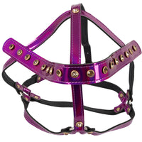 Bad Kitty - Head Harness Pink