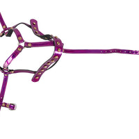 Bad Kitty - Head Harness Pink