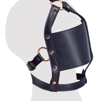 Bad Kitty - Head Mask with Gag