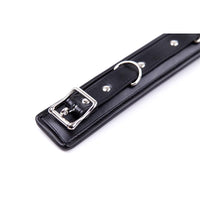 Fetish Addict - Collar with Metal Leash and Pedded Interior