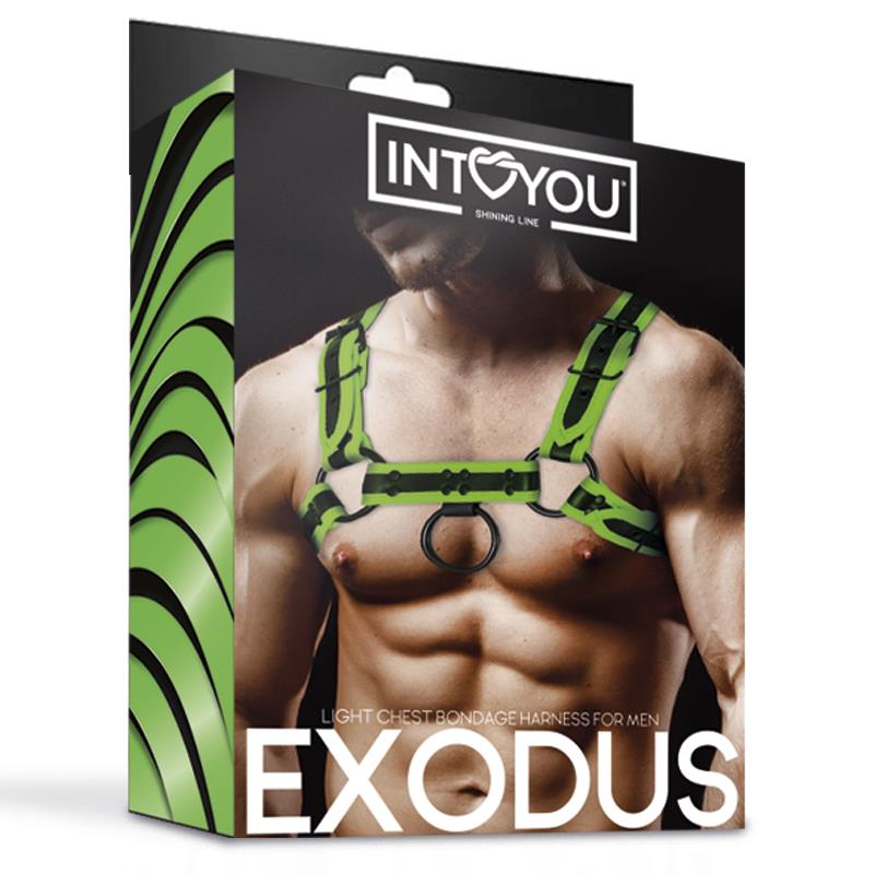 IntoYou Shining Line - Harness Exodus Man