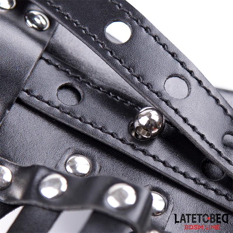 Latetobed BDSM Line -  Male Chastity Belt With Adjustable Lock