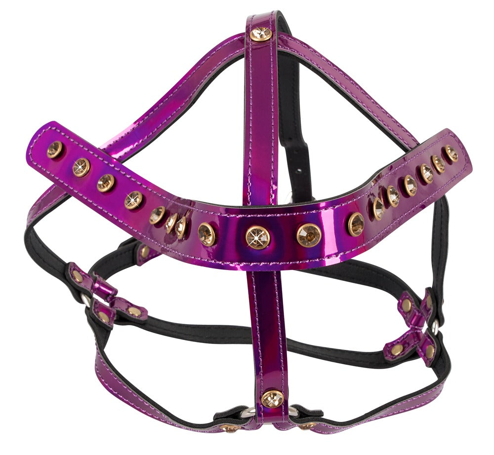 Bad Kitty - Head Harness Pink