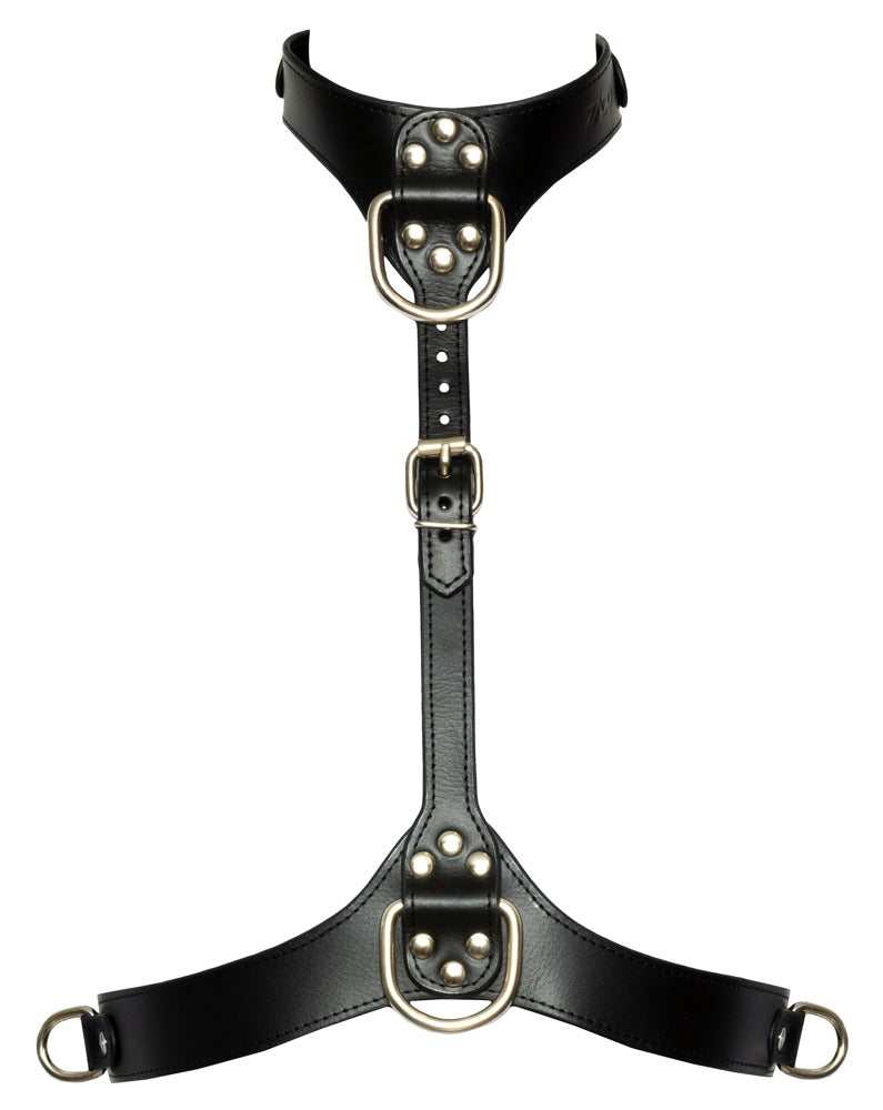 Bad Kitty - Chest Harness
