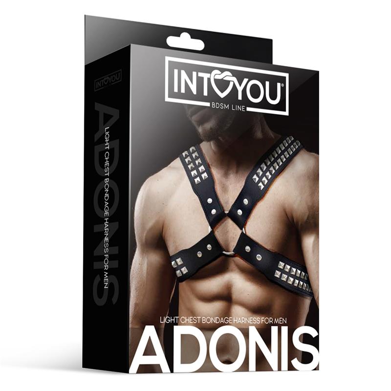 IntoYou Bdsm Line - Harness Adonis Man