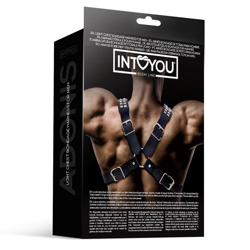 IntoYou Bdsm Line - Harness Adonis Man