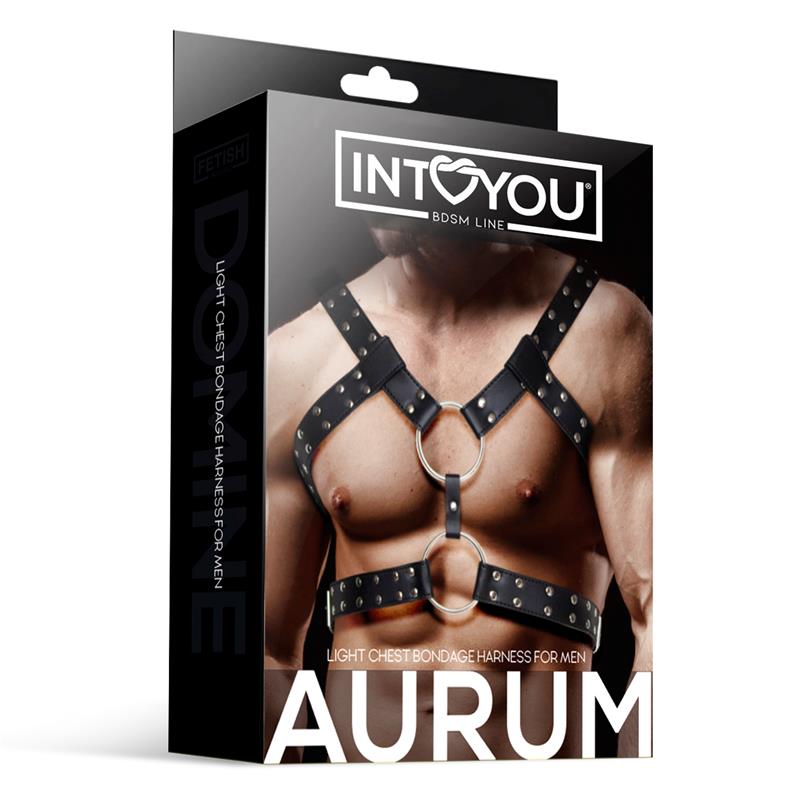 IntoYou Bdsm Line - Harness Aurum Man