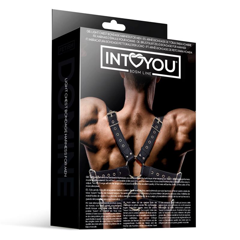 IntoYou Bdsm Line - Harness Aurum Man