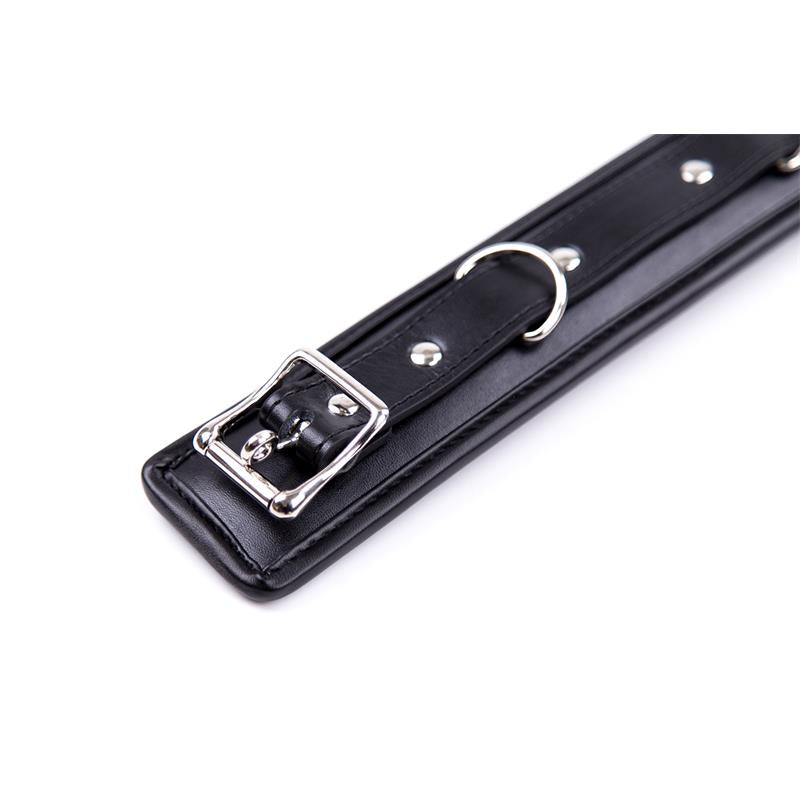 Fetish Addict - Collar with Metal Leash and Pedded Interior