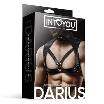 IntoYou Bdsm Line - Harness Darius Man