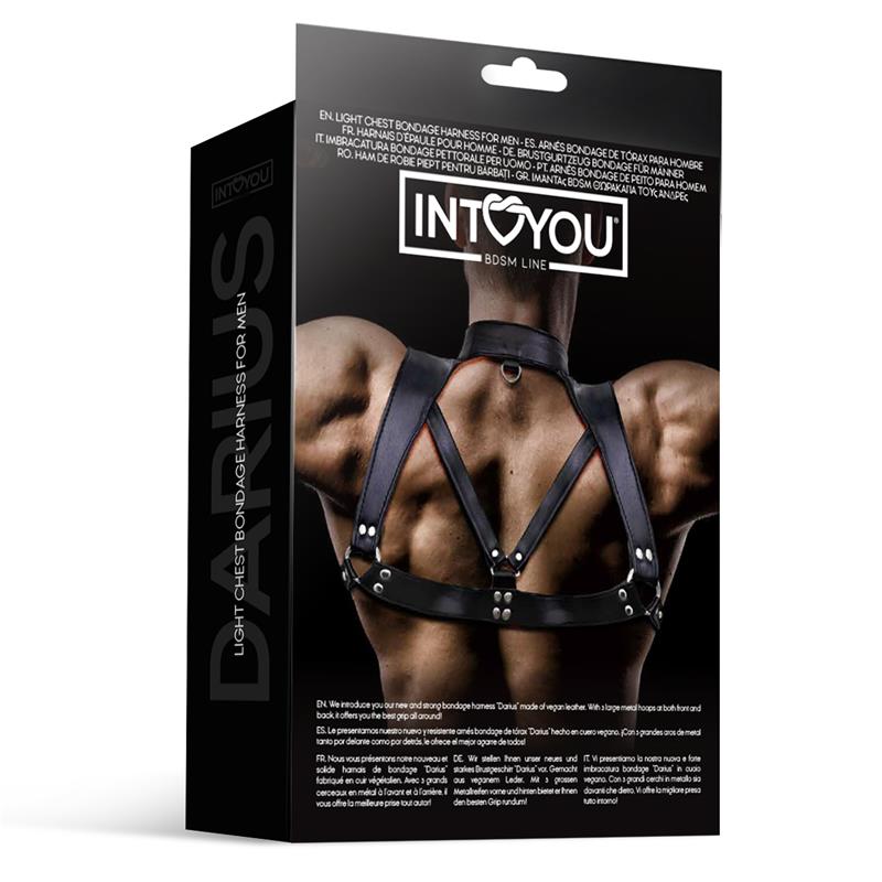 IntoYou Bdsm Line - Harness Darius Man