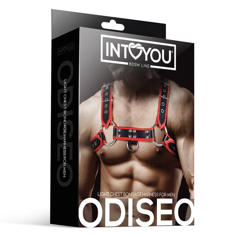 IntoYou Bdsm Line - Harness Odiseo Man