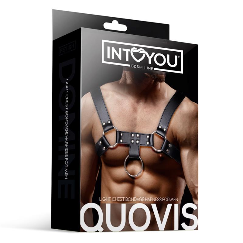 IntoYou Bdsm Line - Harness Quovis Man